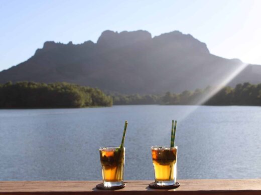 L’Ilot Bar : Une Expérience Lounge Unique sur le Lac Perrin